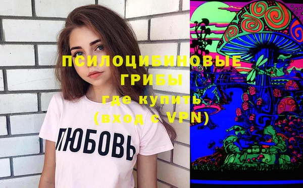дурь Бронницы