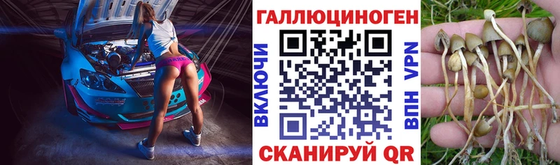 Галлюциногенные грибы мухоморы  ОМГ ОМГ   Грайворон 